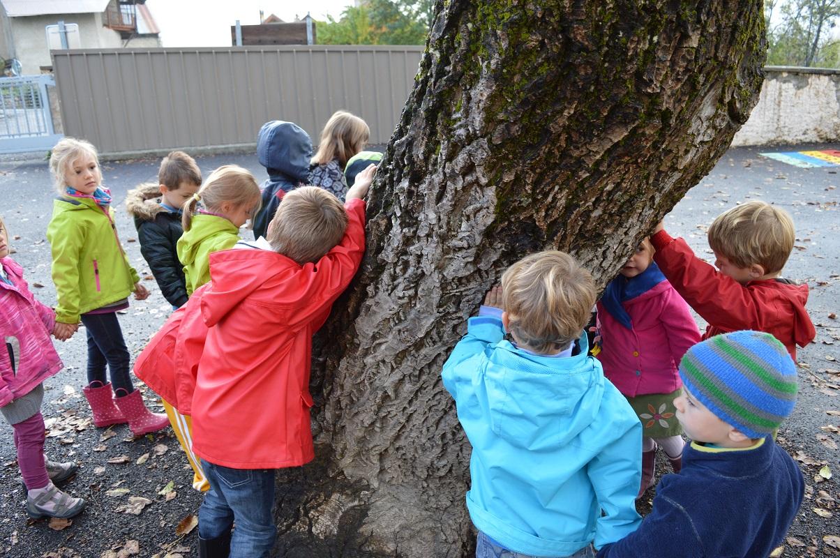 Jeunes découvreurs du Parc national des Ecrins - ecole de Pelvoux - oct 2015