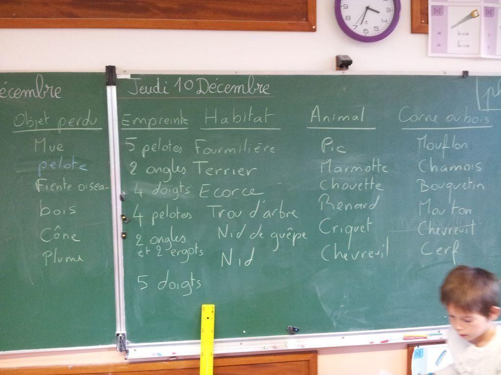 Traces et indices - école de Chauffayer- 2015-2016 © Parc national des Ecrins