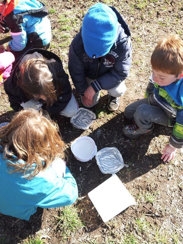 Traces et indices - école de Chauffayer- 2015-2016 © Parc national des Ecrins