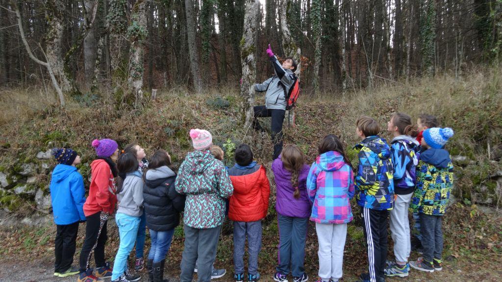 arbres et paysage - projet pédagogique 2014-2015- école saint-Firmin - Parc national des Ecrins