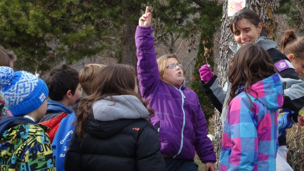 arbres et paysage - projet pédagogique 2014-2015- école saint-Firmin - Parc national des Ecrins