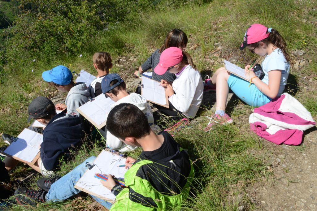 arbres et paysage - projet pédagogique 2014-2015- école saint-Firmin - Parc national des Ecrins