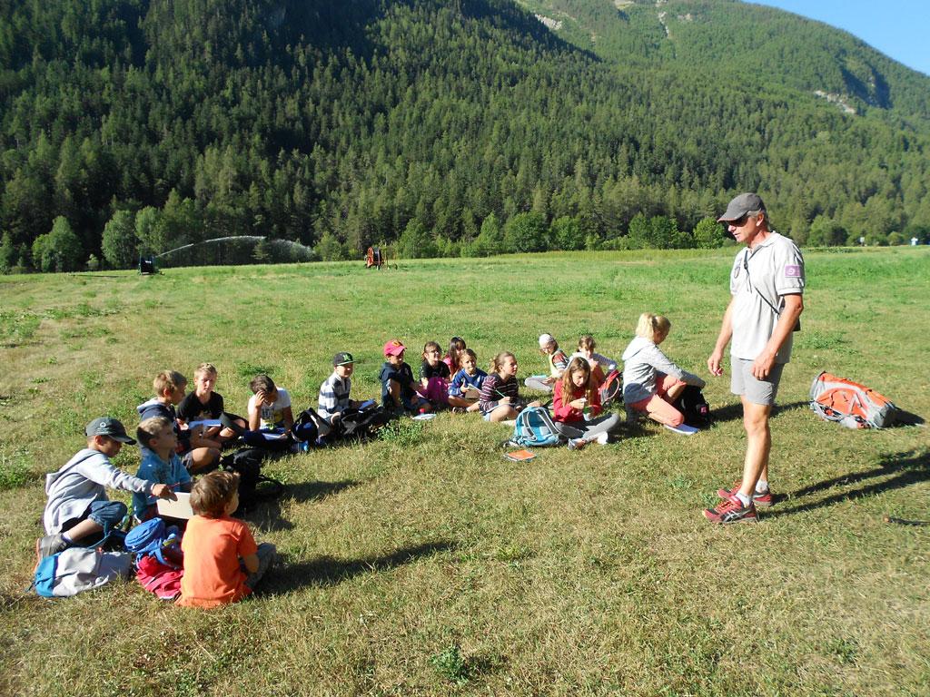 Ecole Freissinières - projet 2016-2017 avec le Parc national des Ecrins sur les insectes