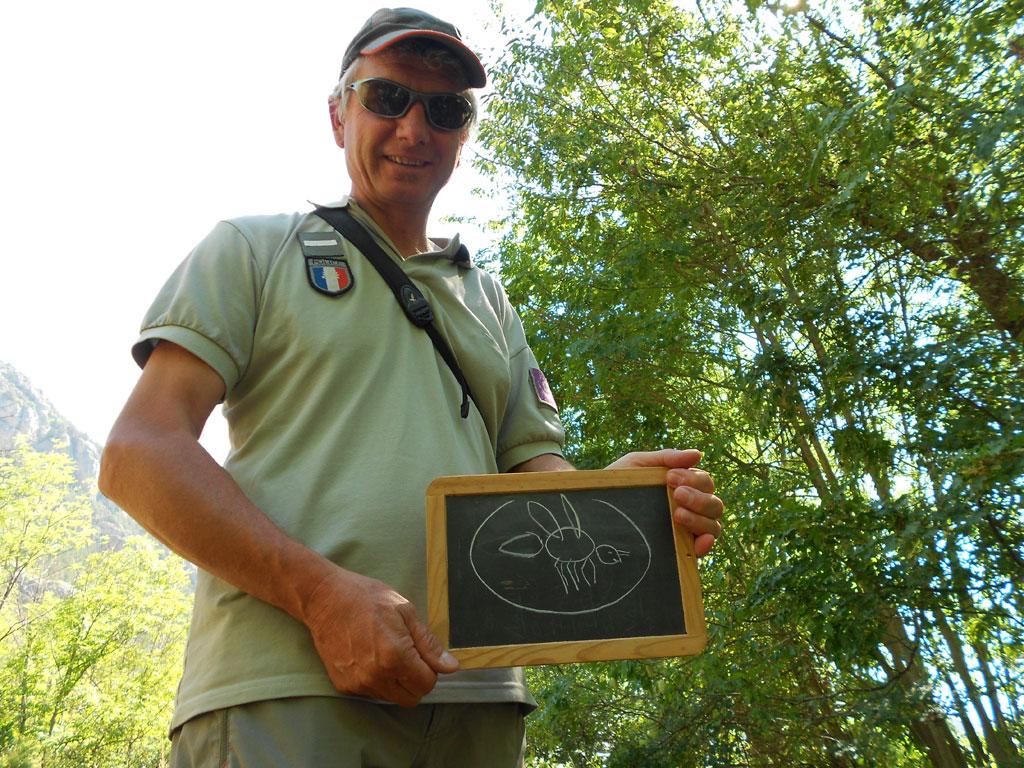 Ecole Freissinières - projet 2016-2017 avec le Parc national des Ecrins sur les insectes