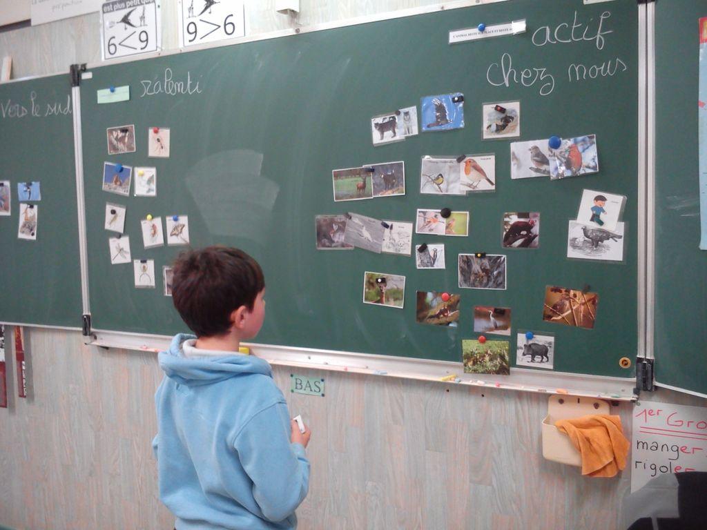 projet pédagogique école de Saint-Bonnet avec le Parc national des Ecrins - 2017