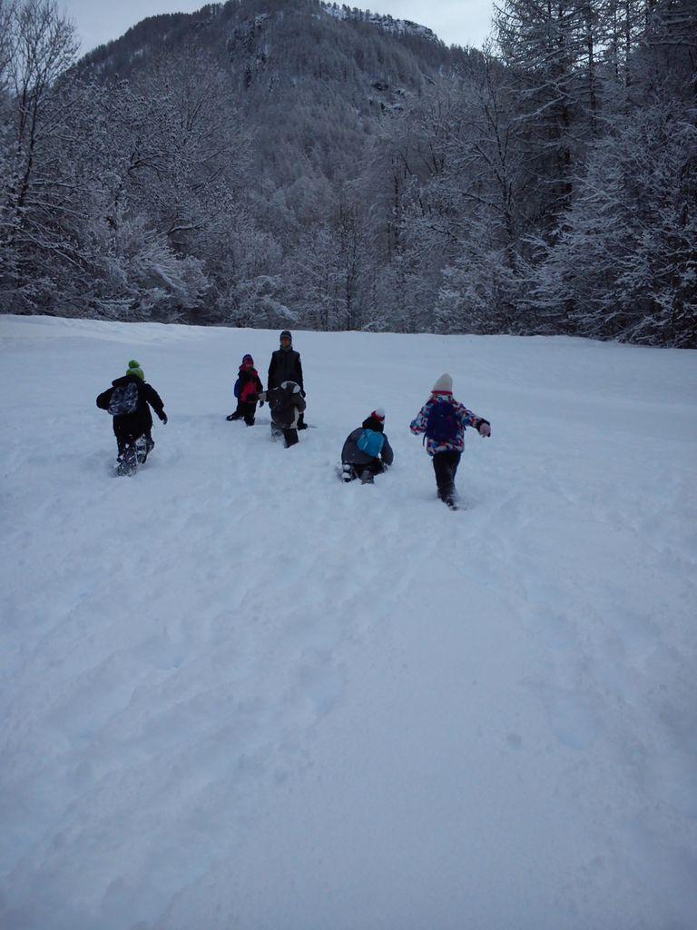 projet pédagogique école de Saint-Bonnet avec le Parc national des Ecrins - 2017