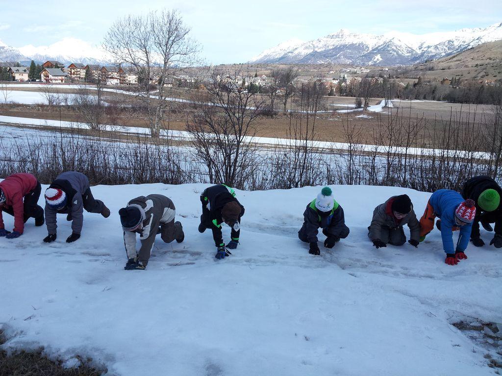 projet pédagogique école de Saint-Bonnet avec le Parc national des Ecrins - 2017