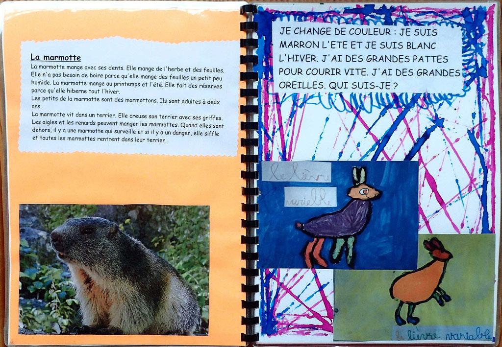 livre maternelle Deux alpes - 6 séances sur les animaux de montagne avec le Parc national des Ecrins - 2017-2018