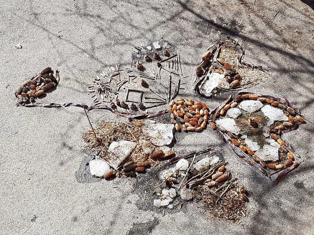 Planète land art  ecole PSV maternelles - 2017/2018 - Il était une fleur - avec le Parc national des Écrins