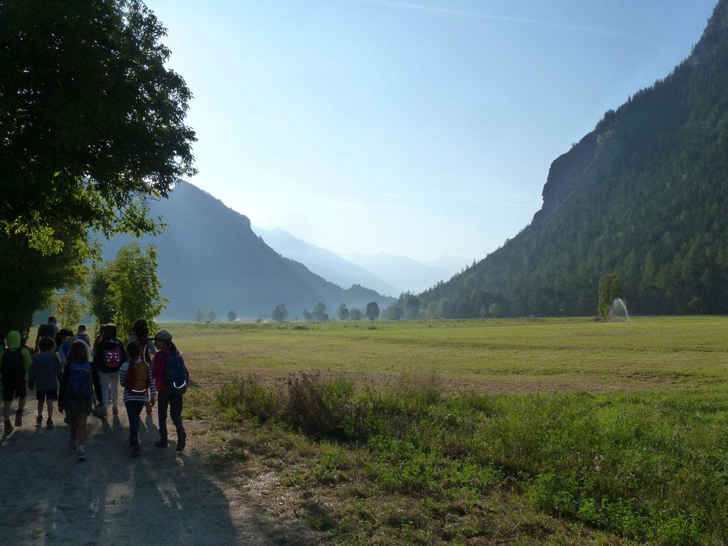 Projet flore - école de Freissinières - avec le Parc national des Écrins