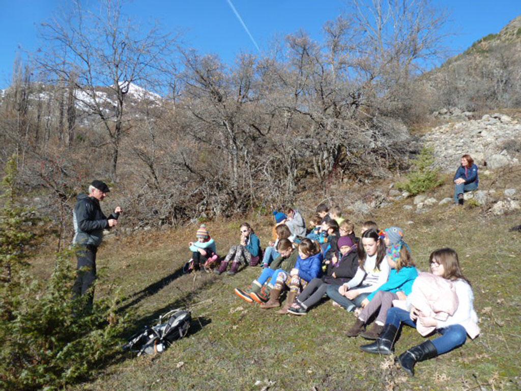 Projet flore - école de Freissinières - avec le Parc national des Écrins