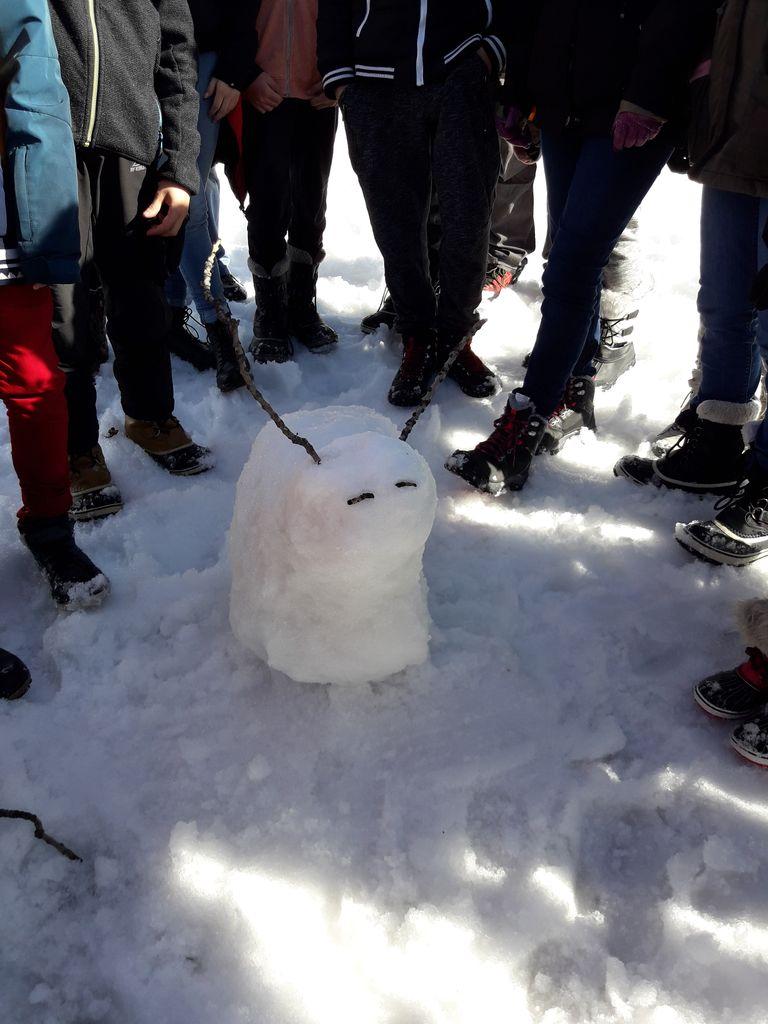La neige et ses conséquences  - collège Vauban Briançon - hiver 2019 - photo Parc national des Ecrins