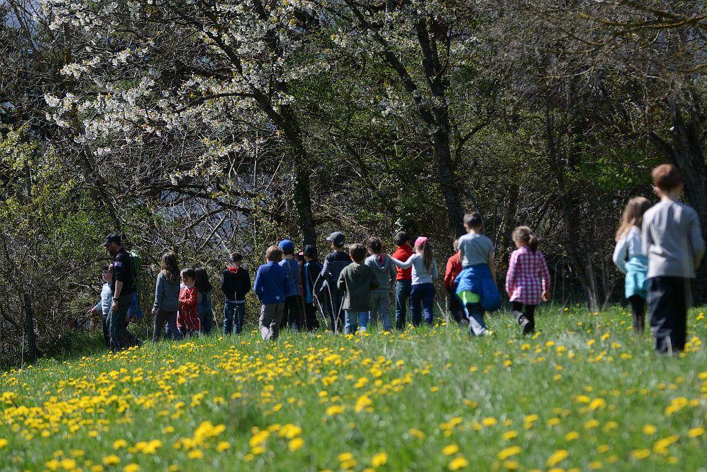 Évolution des paysages avec l'école de Chauffayer, ©DominiqueVincent