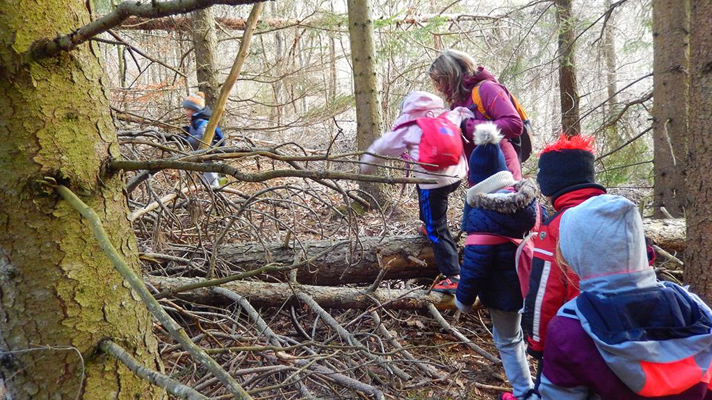 Vigie école oiseaux des jardins - ecole pont du fossé avec le Parc national des Ecrins - 2019/2020