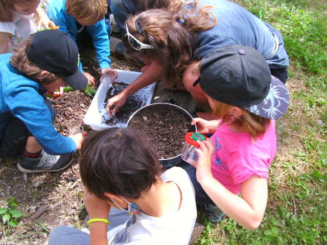 Animation parc et insectes pour les PS-CP de l'école de Puy-Saint-Eusèbe