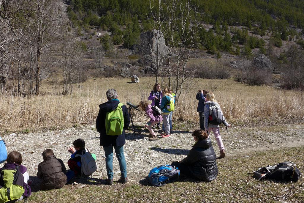 ecole freissinières - mars 2015 - sortie ornitho avec le Parc national des Ecrins