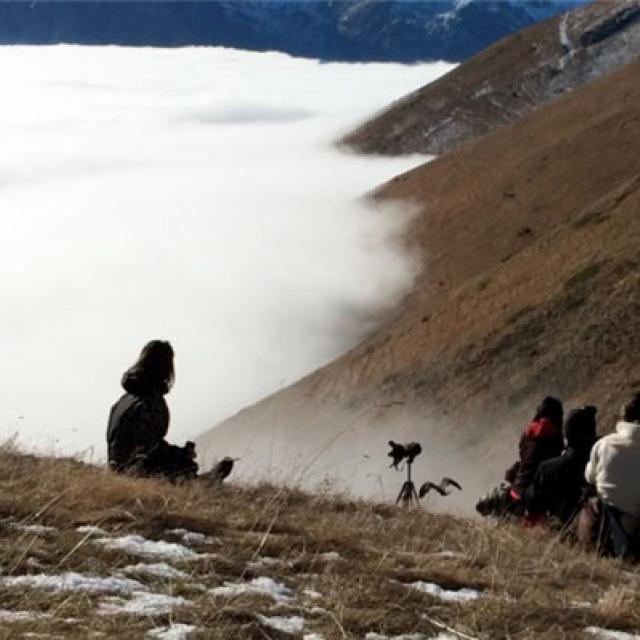 Lâché aigle royal - Oisans - déc 2014 - © Cathy Ribot