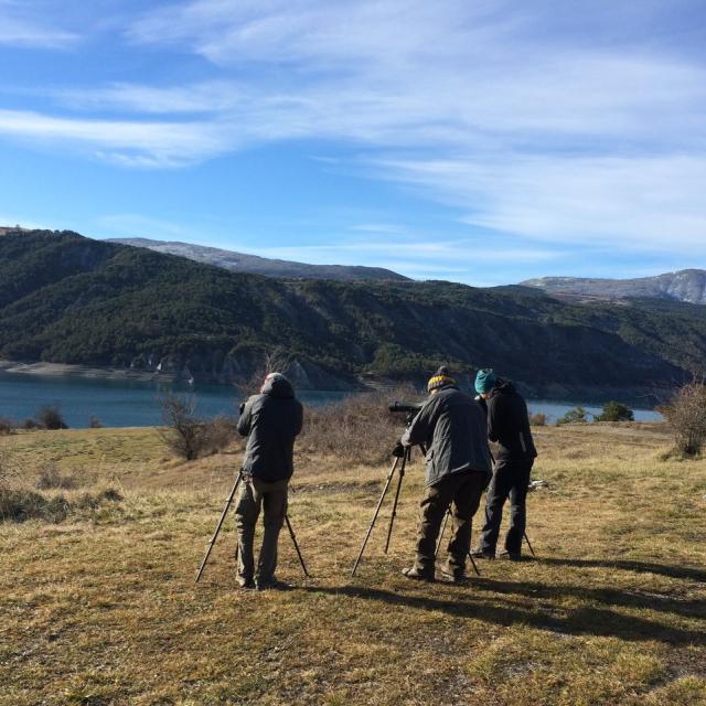 Des groupes d'observateurs volontaires pour le comptage des oiseaux d'eaux - janvier 2015 - Savinois © C.Couloumy - Parc national des Ecrins