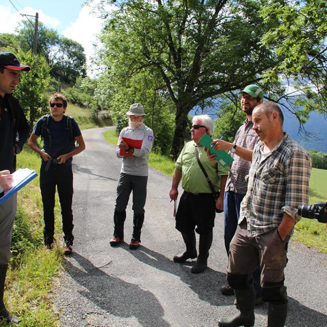 Concours prairies fleuries - Valgaudemar - juin 2015 - © Agnes Thiard - Parc national des Ecrins