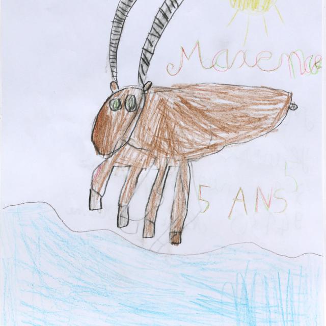 Maxence Hausser-Buchle - 2ème prix 5/7 ans concours dessin hiver 2015 - Parc national des Ecrins