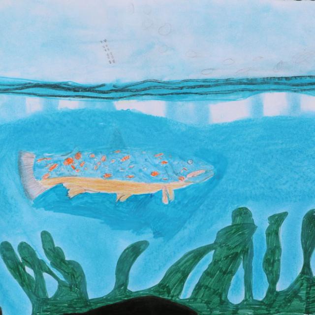 3ème prix 8-10 ans - concours dessin hiver 2015 - Parc national des Ecrins