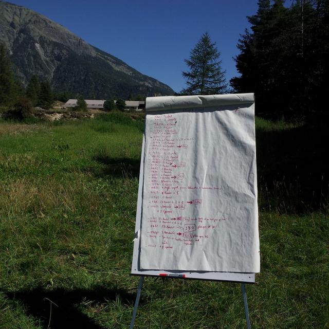 Observation comptage bondrées août 2015 © D.Combrisson - parc national des Ecrins