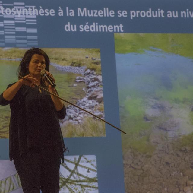 montagnes et sciences - 10 nov 2015 - Bourg d'Oisans - photos Bernard Clouët