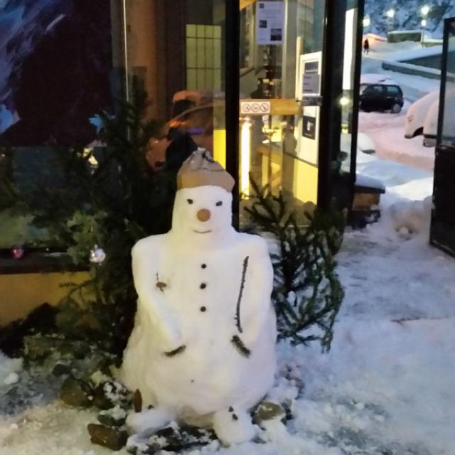 neige à Briançon le 12 janvier 2016 - photo T-Tabainet - PNE