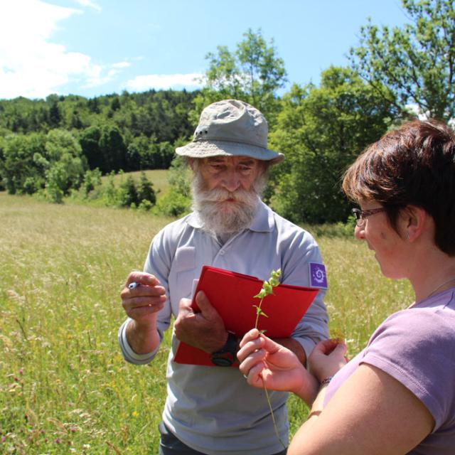 Echange autour de la botanique, lors du passage du jury en juin 2015 © Parc national des Ecrins