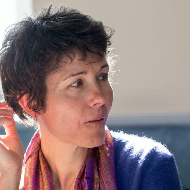 Isabelle Arpin, présidente du Conseil scientifique PN Vanoise - Conseil scientifique 29 avirl 2016 à Gap - © P.Saulay - Parc national des Écrins