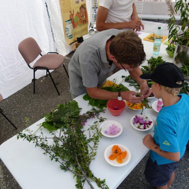 L'echo des mots - 2015 - atelier plantes du Parc national des Ecrins