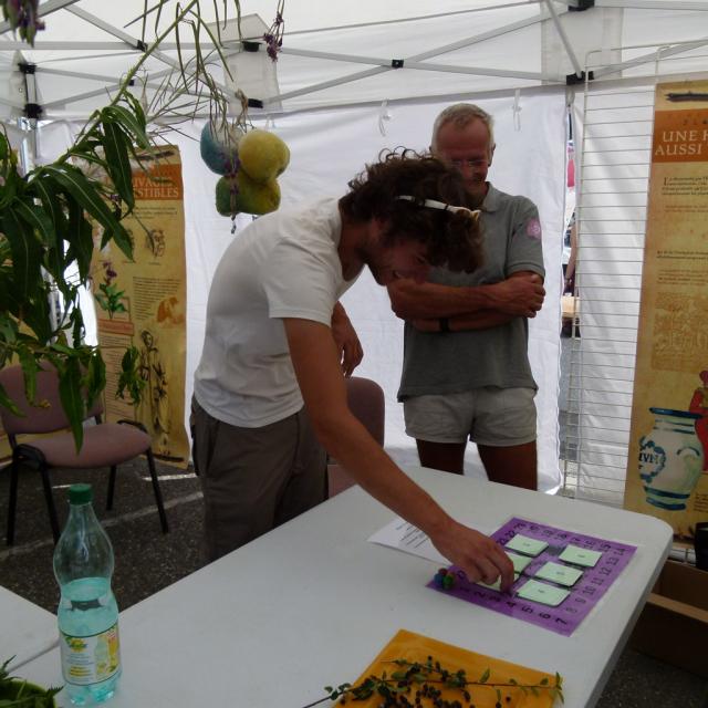 L'echo des mots - 2015 - atelier plantes du Parc national des Ecrins