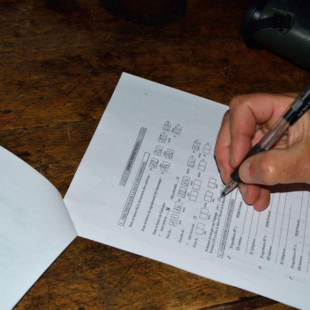 Constat de dommage réalisé par un agent du Parc national des Ecrins