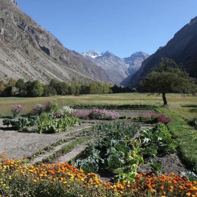 animation autour du potager à la Maison du parc de Vallouise
