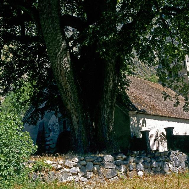 Eglise Saint Maurice  - © D.vincent - Parc national des Ecrins