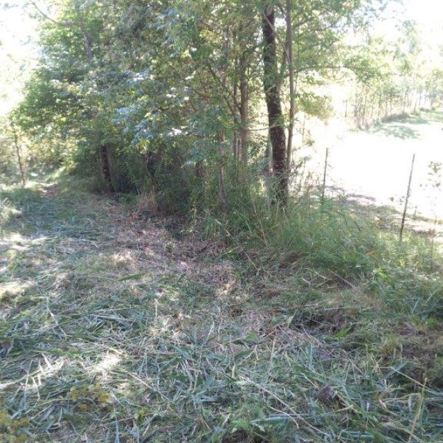 canal avant travaux - lac st appolinaire - Embrunais - oct 2016