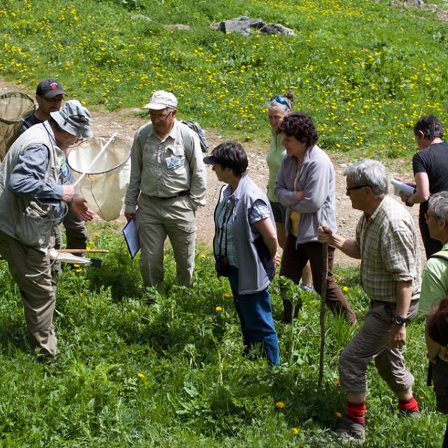 Evenement biodiversité - Parc national des Écrins - Embrun 2016 - photo Julien Charron - Parc national des Écrins