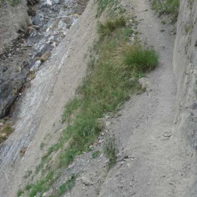 sentier vallon Côte Belle - Valjouffrey -  © S D'houwt - Parc national des Ecrins