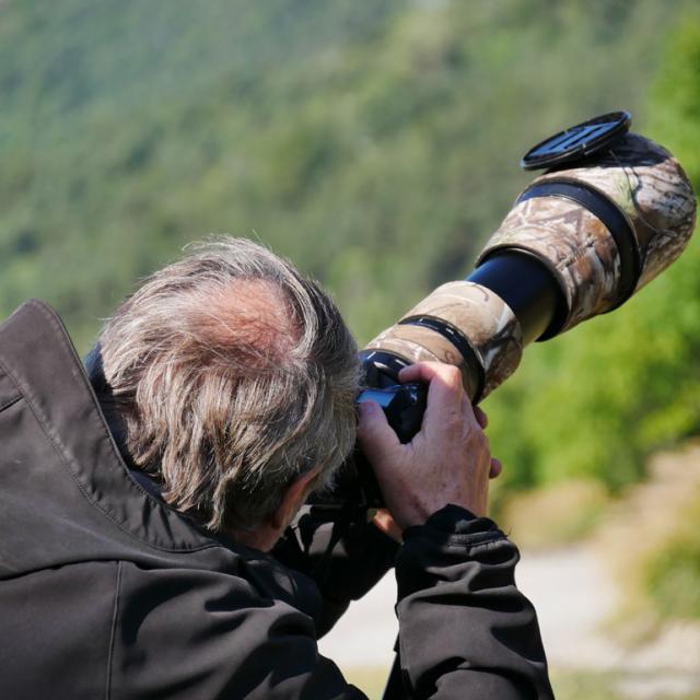 Comptage bondrées apivores - Embrunais août 2017 - © V. Zugmeyer - Parc national des Ecrins