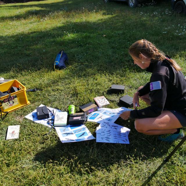 Comptage bondrées apivores - Embrunais août 2017 - © V. Zugmeyer - Parc national des Ecrins