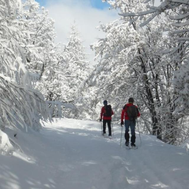 Balade raquettes avec VIsa trekking dans les Ecrins - Esprit parc national