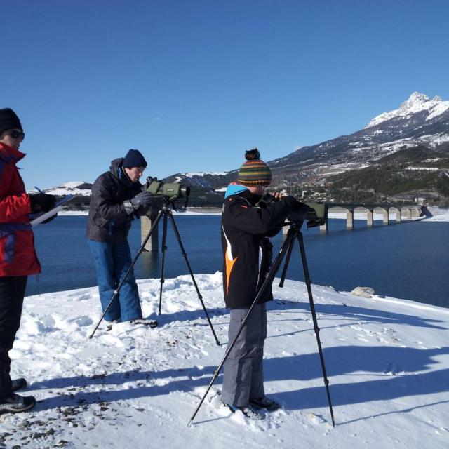 comptage Wetland 2016 - © D.Combrisson - Parc national des Écrins