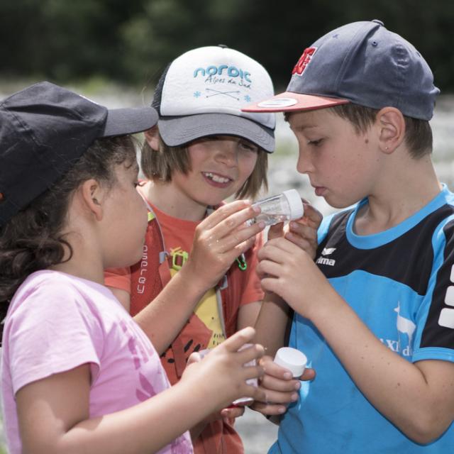 Journée scolaire Ecrins de nature 2017 - Champsaur - © P.Saulay - Parc national des Ecrins