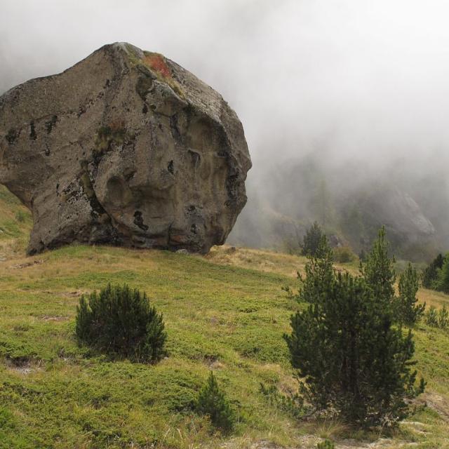 Vallon du Caire - Champsaur - © M.Corail - Parc national des Écrins