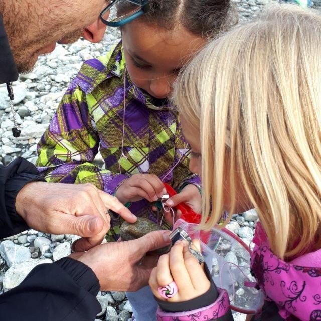 Le monde des insectes, à l'école de Saint-jean Saint-Nicolas - Parc national des Écrins