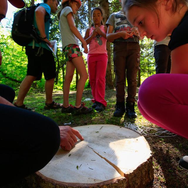 Ecrins de nature 2018 au Bourg d'Oisans - © T.Maillet - Parc national des Ecrins