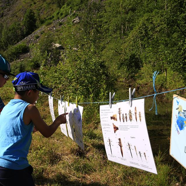 Ecrins de nature 2018 au Bourg d'Oisans - © T.Maillet - Parc national des Ecrins