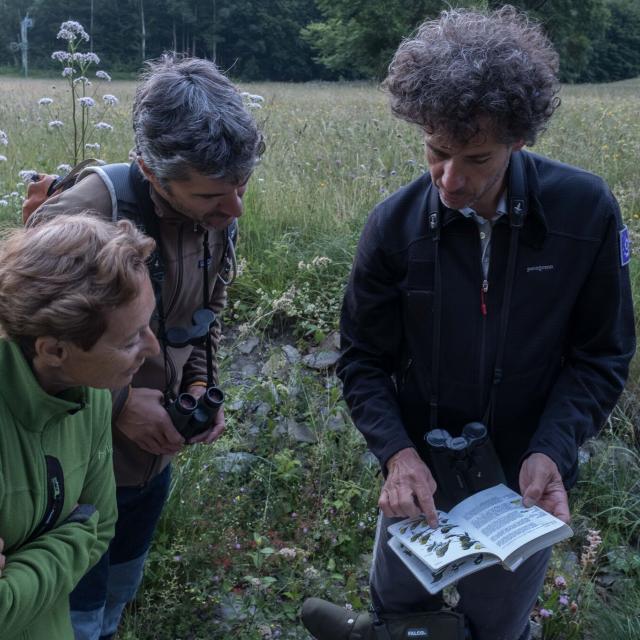 Ecoute et observation des oiseaux - Ecrins de nature - juin 2018 Bourg d'Oisans - photo B.Clouet