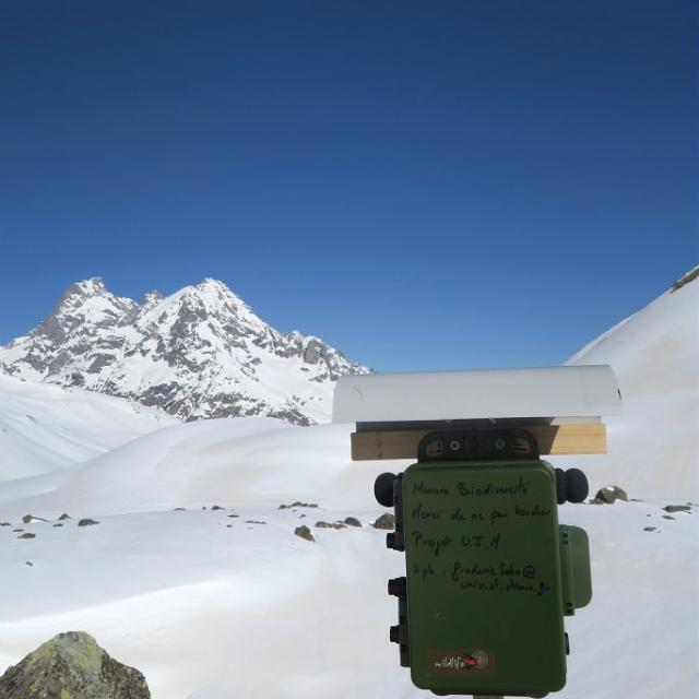 Installation bioacoustique lagopède - © L.Imberdis - Parc national des Ecrins