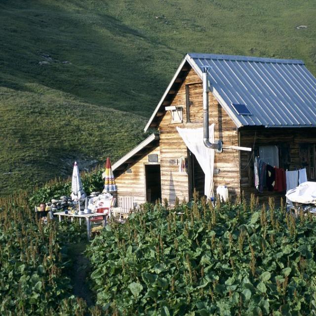 Cabane des Pâles - Valgaudemar © D. Vincent - Parc national des Ecrins